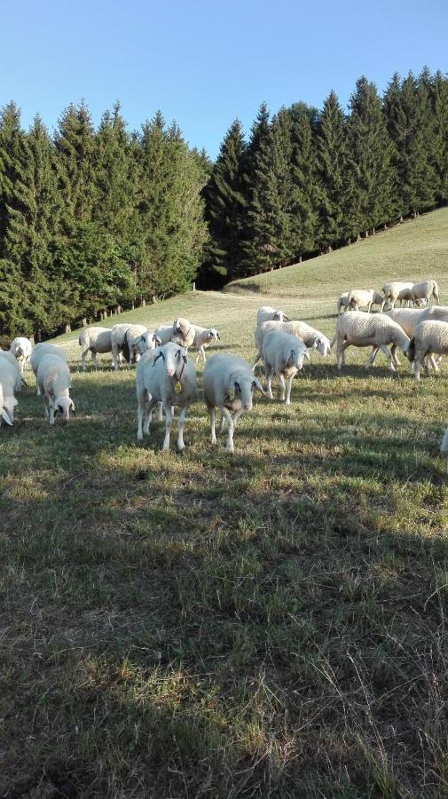 Ferienwohnung Lucy Am Lonitzberg Steinakirchen Am Forst Luaran gambar